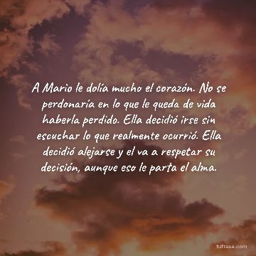 A Mario le dolía mucho el corazón. No se perdonaría en lo que le queda de vida haberla perdido. Ella decidió irse sin escuchar lo que realmente ocurrió. Ella decidió alejarse y el va a respetar su decisión, aunque eso le parta el alma.