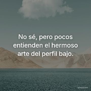 No sé, pero pocos entienden el hermoso arte del perfil bajo.