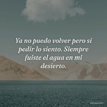 Ya no puedo volver pero si pedir lo siento. Siempre fuiste el agua en mi desierto.