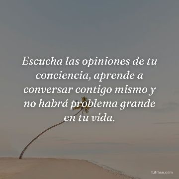Escucha las opiniones de tu conciencia, aprende a conversar contigo mismo y no habrá problema grande en tu vida.