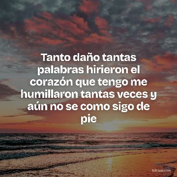 Tanto daño tantas palabras hirieron el corazón que tengo me humillaron tantas veces y aún no se como sigo de pie