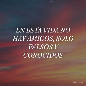 EN ESTA VIDA NO HAY AMIGOS, SOLO FALSOS Y CONOCIDOS