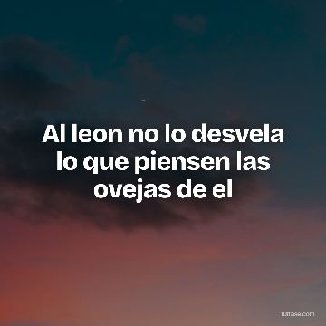 Al leon no lo desvela lo que piensen las ovejas de el