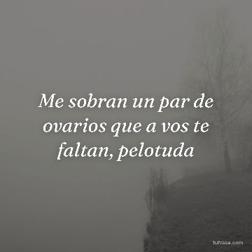 Me sobran un par de ovarios que a vos te faltan, pelotuda