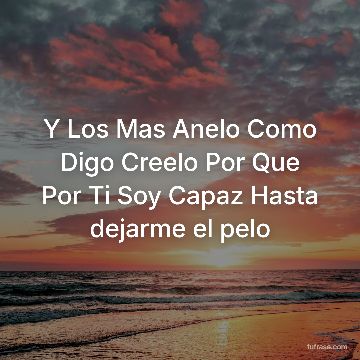 Y Los Mas Anelo Como Digo Creelo Por Que Por Ti Soy Capaz Hasta dejarme el pelo
