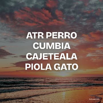 ATR PERRO CUMBIA CAJETEALA PIOLA GATO