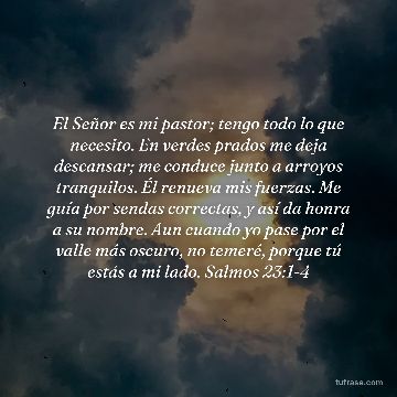 El Señor es mi pastor; tengo todo lo que necesito. En verdes prados me deja descansar; me conduce junto a arroyos tranquilos. Él renueva mis fuerzas. Me guía por sendas correctas, y así da honra a su nombre. Aun cuando yo pase por el valle más oscuro, no temeré, porque tú estás a mi lado. Salmos 23:1-4
