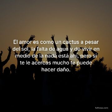 El amor es como un cactus a pesar del sol, la falta de agua y de vivir en medio de la nada está ahí, pero si te le acercas mucho te puede hacer daño.