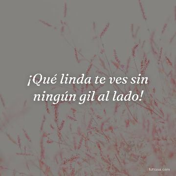 ¡Qué linda te ves sin ningún gil al lado!