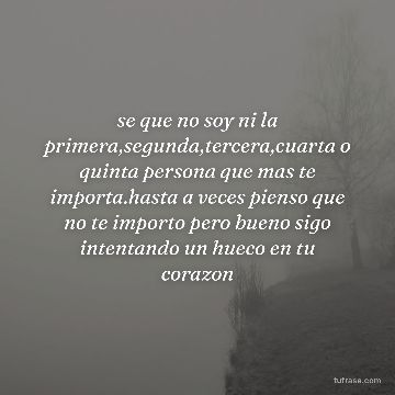 se que no soy ni la primera,segunda,tercera,cuarta o quinta persona que mas te importa.hasta a veces pienso que no te importo pero bueno sigo intentando un hueco en tu corazon