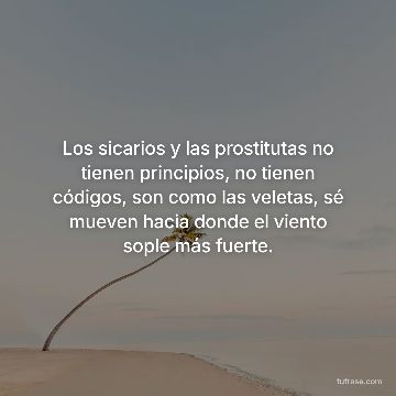 Los sicarios y las prostitutas no tienen principios, no tienen códigos, son como las veletas, sé mueven hacia donde el viento sople más fuerte.