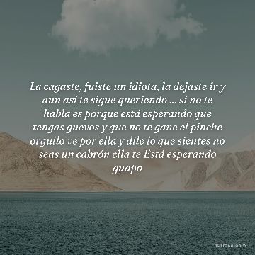 La cagaste, fuiste un idiota, la dejaste ir y aun así te sigue queriendo ... si no te habla es porque está esperando que tengas guevos y que no te gane el pinche orgullo ve por ella y dile lo que sientes no seas un cabrón ella te Está esperando guapo