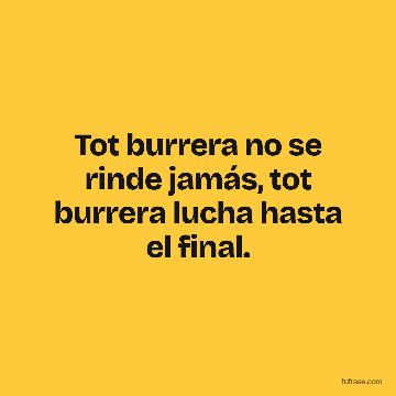 Tot burrera no se rinde jamás, tot burrera lucha hasta el final.