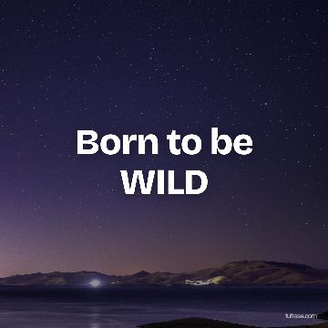 Born to be WILD