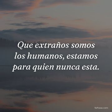 Que extraños somos los humanos, estamos para quien nunca esta.