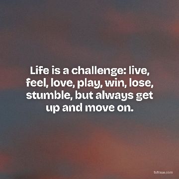 Life is a challenge: live, feel, love, play, win, lose, stumble, but always get up and move on.