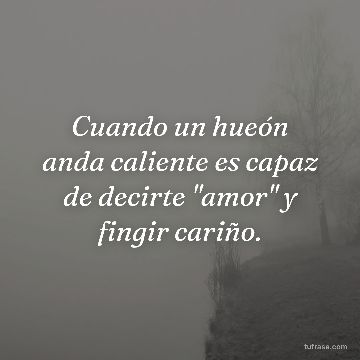 Cuando un hueón anda caliente es capaz de decirte "amor" y fingir cariño.