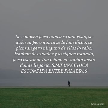 Se conocen pero nunca se han visto, se quieren pero nunca se lo han dicho, se piensan pero ninguno de ellos lo sabe. Estaban destinados y lo siguen estando, pero ese amor tan lejano no sabían hasta donde llegaría. S.M.T UNA CHICA ESCONDIDA ENTRE PALABRAS