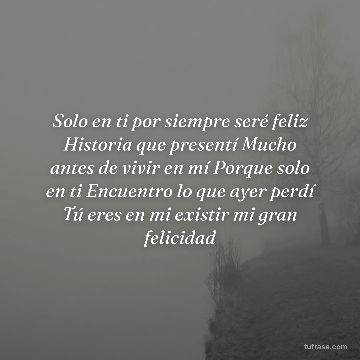 Solo en ti por siempre seré feliz Historia que presentí Mucho antes de vivir en mí Porque solo en ti Encuentro lo que ayer perdí Tú eres en mi existir mi gran felicidad
