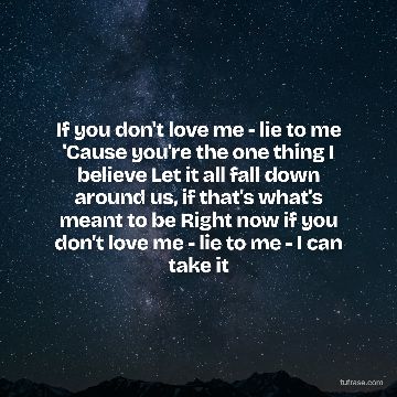 If you don't love me - lie to me 'Cause you're the one thing I believe Let it all fall down around us, if that's what's meant to be Right now if you don't love me - lie to me - I can take it