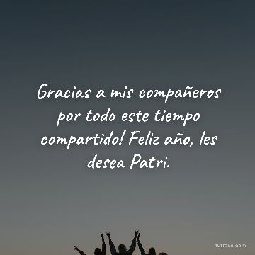 Gracias a mis compañeros por todo este tiempo compartido! Feliz año, les desea Patri.