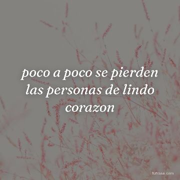 poco a poco se pierden las personas de lindo corazon