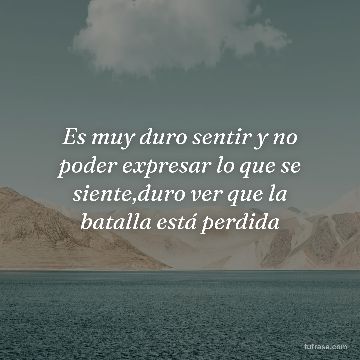 Es muy duro sentir y no poder expresar lo que se siente,duro ver que la batalla está perdida
