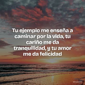 Tu ejemplo me enseña a caminar por la vida, tu cariño me da tranquilidad, y tu amor me da felicidad