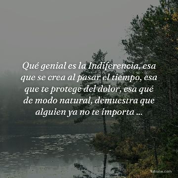 Qué genial es la Indiferencia, esa que se crea al pasar el tiempo, esa que te protege del dolor, esa qué de modo natural, demuestra que alguien ya no te importa ...