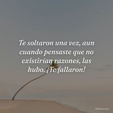 Te soltaron una vez, aun cuando pensaste que no existirían razones, las hubo. ¡Te fallaron!