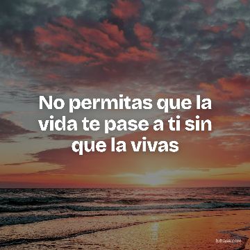 No permitas que la vida te pase a ti sin que la vivas