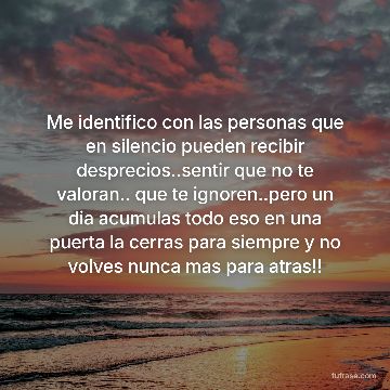 Me identifico con las personas que en silencio pueden recibir desprecios..sentir que no te valoran.. que te ignoren..pero un dia acumulas todo eso en una puerta la cerras para siempre y no volves nunca mas para atras!!