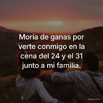 Moría de ganas por verte conmigo en la cena del 24 y el 31 junto a mi familia.