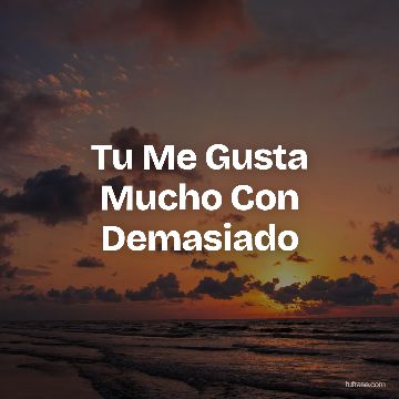 Tu Me Gusta Mucho Con Demasiado