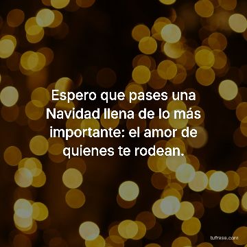 Espero que pases una Navidad llena de lo más importante: el amor de quienes te rodean.
