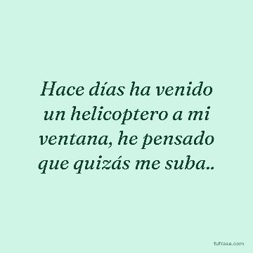 Hace días ha venido un helicoptero a mi ventana, he pensado que quizás me suba..