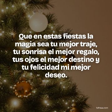 Que en estas fiestas la magia sea tu mejor traje, tu sonrisa el mejor regalo, tus ojos el mejor destino y tu felicidad mi mejor deseo.