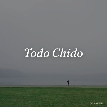 Todo Chido