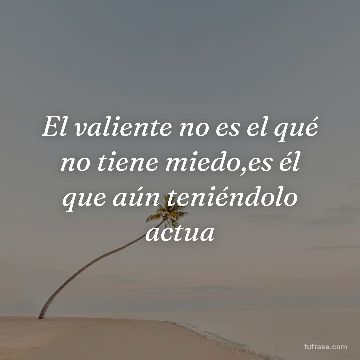 El valiente no es el qué no tiene miedo,es él que aún teniéndolo actua