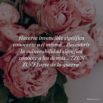 Hacerte invencible significa conocerte a ti mismo... Descubrir la vulnerabilidad significa conocer a los demás... TZUN ZU-"El arte de la guerra"