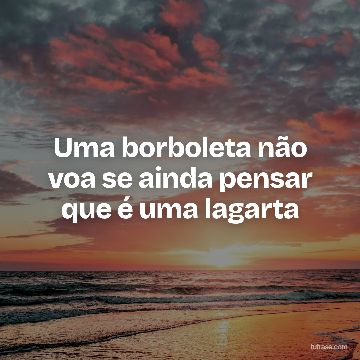 Uma borboleta não voa se ainda pensar que é uma lagarta
