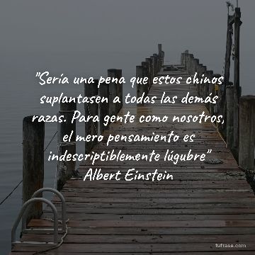 "Sería una pena que estos chinos suplantasen a todas las demás razas. Para gente como nosotros, el mero pensamiento es indescriptiblemente lúgubre" Albert Einstein
