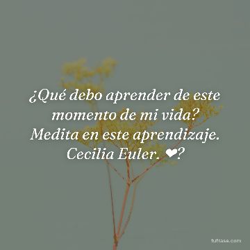 ¿Qué debo aprender de este momento de mi vida? Medita en este aprendizaje. Cecilia Euler. ❤?