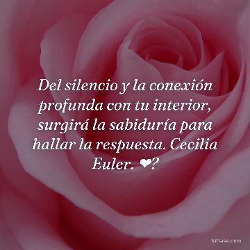Del silencio y la conexión profunda con tu interior, surgirá la sabiduría para hallar la respuesta. Cecilia Euler. ❤?