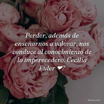 Perder, además de enseñarnos a valorar, nos conduce al conocimiento de lo imperecedero. Cecilia Euler ❤?
