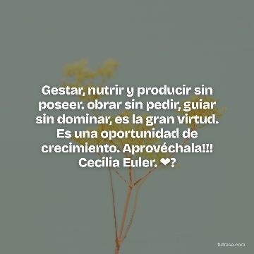 Gestar, nutrir y producir sin poseer. obrar sin pedir, guiar sin dominar, es la gran virtud. Es una oportunidad de crecimiento. Aprovéchala!!! Cecilia Euler. ❤?