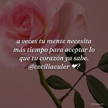 a veces tu mente necesita más tiempo para aceptar lo que tu corazón ya sabe. @ceciliaeuler ❤?
