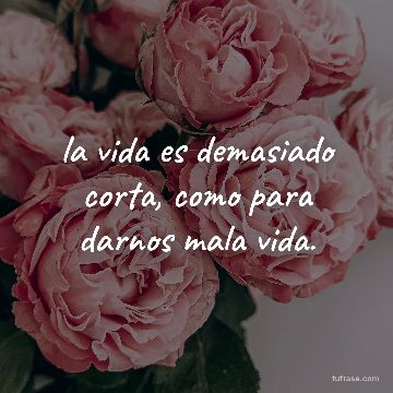 la vida es demasiado corta, como para darnos mala vida.
