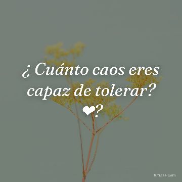 ¿ Cuánto caos eres capaz de tolerar? ❤?