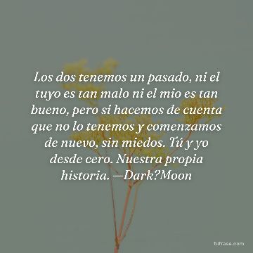 Los dos tenemos un pasado, ni el tuyo es tan malo ni el mio es tan bueno, pero si hacemos de cuenta que no lo tenemos y comenzamos de nuevo, sin miedos. Tú y yo desde cero. Nuestra propia historia. —Dark?Moon
